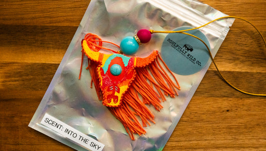 Soulful Air Freshener: Mini Bullhead Orange, Turquoise, Pink and Turquoise Circle (Scent: Into the Sky)